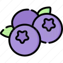 蓝莓音乐 app官方最新版 - 免费听歌神器