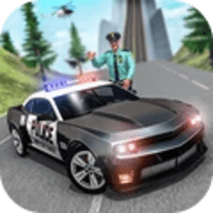 警察行动 - 警察执法模拟