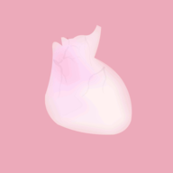 life生命模拟器 安卓版 - 非常逼真的人体器官模拟软件